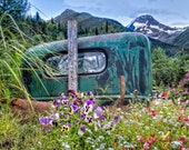 Old Truck and Flowers in Girdwood Alaska Gold Mine Framed Wall Art Lanscape Kenai