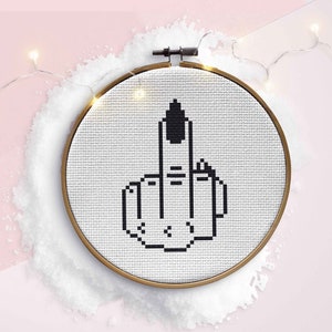 The Finger cross stitch kit for teenagers, beginner friendly modern DIY Letterbox gift, Subversive Swear Cuss Word Profanity