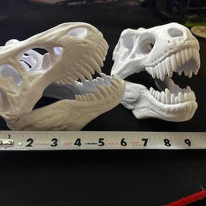 2pk Trex Skull Replica | Dinosaur Skull , T-Rex Skull | Tyrannosaurus Rex | T Rex Skull