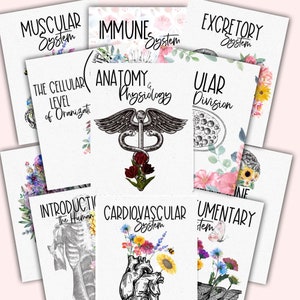 Op de afbeelding: Een verzameling witte kaarten met anatomische illustraties en bloemaccenten. Elke kaart toont een ander systeem van het menselijk lichaam, zoals het spier-, immuun- en cardiovasculaire systeem, met titels in elegant schrift.