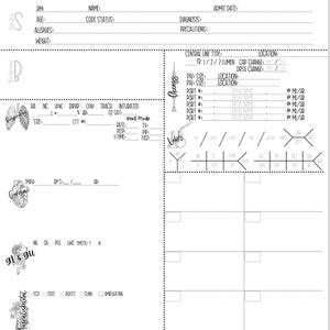 Op de afbeelding: Een witte medische kaart met zwarte tekst en illustraties. De kaart bevat secties voor patiëntinformatie, ademhaling, hart, maag-darm, bewegingsapparaat, huid en pijnbeoordelingen. Het heeft ook een sectie voor centrale lijninformatie.