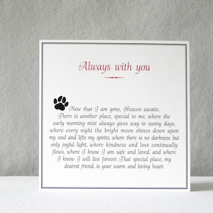 Carte de sympathie pour chat/chien/chat, carte de perte de chien/carte commémorative pour animal de compagnie