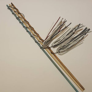 Cat wand, fishing rod, cat teaser