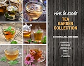 Tea Garden Seed Collection 6 Essential Tea Herb Seeds 20 Savings