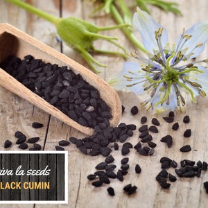 May include: A wooden scoop filled with black cumin seeds, spilling onto a wooden surface. A light blue flower with green stems is in the background. The text "viva la seeds BLACK CUMIN" is on a black and white woodgrain background.