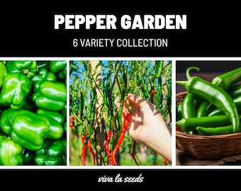 Pepper Seed Collection | 6 Amazing varieties ranging in spiciness | 20% Savings