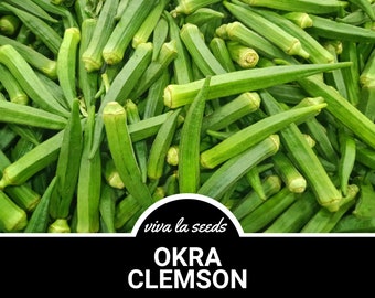 Okra, Clemson Spineless | 50 Seeds | Heirloom | Non-GMO | Abelmoschus esculentus