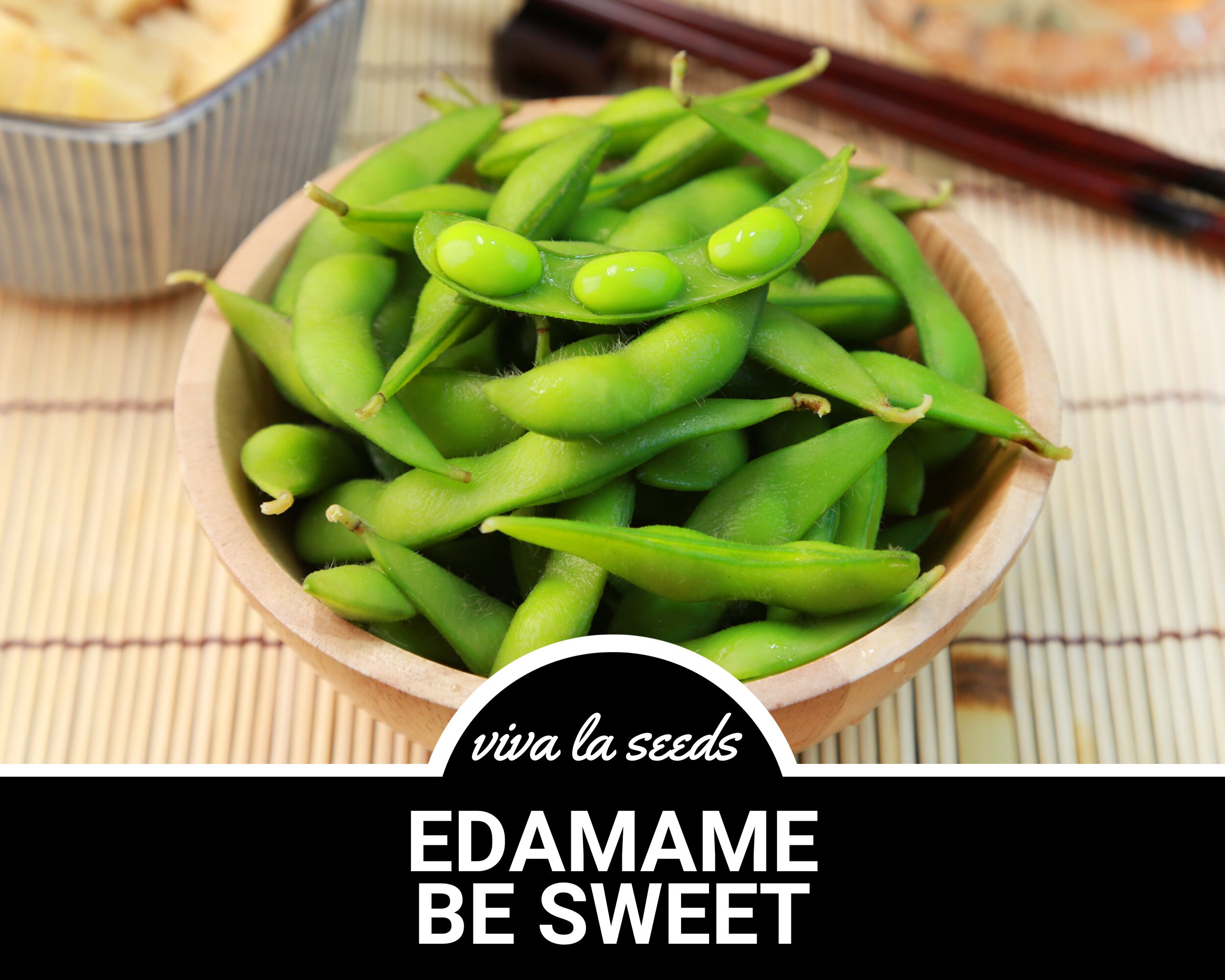 BeSweet Edamame Soy Bean Seeds – USA Non-GMO, Easy To Grow Veggie Seeds For Home Gardeners 9 thumbnail image
