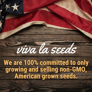 May include: A wooden background with an American flag draped over it. The text "viva la seeds" is written in white cursive font. Below the text is the message "We are 100% committed to only growing and selling non-GMO, American grown seeds."