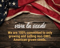Sunflower, Chocolate | 25 Seeds | Culinary & Medicinal | Easy to Grow | Non GMO | Helianthus annuus