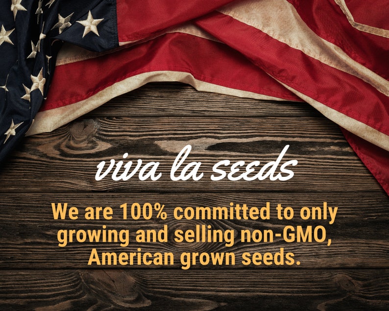 May include: A wooden background with an American flag draped over it. The text "viva la seeds" is written in white cursive font. Below the text is the message "We are 100% committed to only growing and selling non-GMO, American grown seeds."