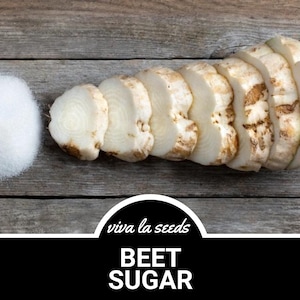 May include: A pile of white beet sugar next to a beet root sliced into rounds on a wooden surface. The text "viva la seeds" and "BEET SUGAR" is displayed below the image.