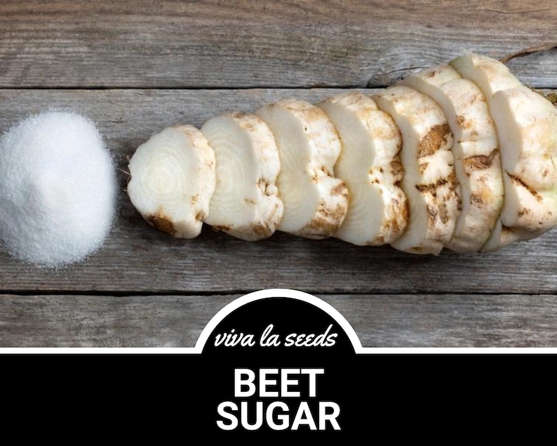 May include: A pile of white beet sugar next to a beet root sliced into rounds on a wooden surface. The text "viva la seeds" and "BEET SUGAR" is displayed below the image.