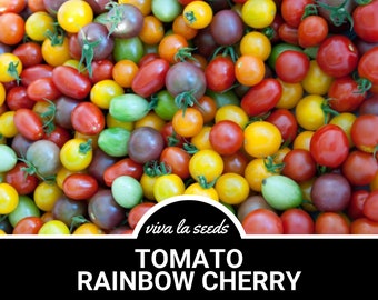 Tomato, Rainbow Cherry | 50 Seeds | Heirloom | Non-GMO | Lycopersicon esculemtum