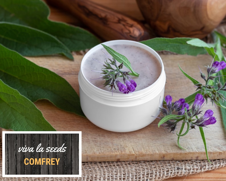 May include: A white jar of comfrey cream with purple comfrey flowers and green leaves on a wooden surface. The jar has a label that says "viva la seeds COMFREY".