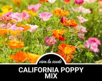 Poppy, California Mix | 200 Seeds | Medicinal Herb | Heirloom | Non GMO | Eschscholzia californica