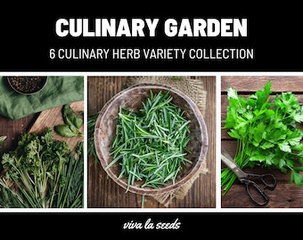 Culinary Herb Seed Collection | 6 Essential Culinary Herbs | 20% Savings