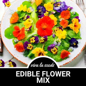 May include: A plate of fresh salad with a variety of colorful edible flowers, including orange nasturtiums, yellow and purple pansies. The plate is set with a knife and fork, and the text "EDIBLE FLOWER MIX" is displayed below.