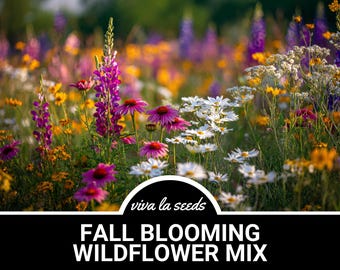 Mélange de fleurs sauvages, floraison d'automne | Mélange de 14 variétés | 1000 graines | Superbes fleurs