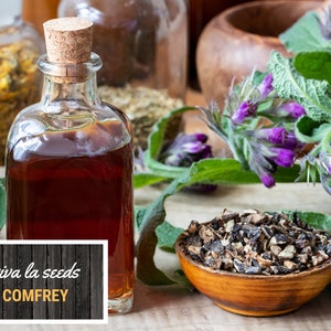 May include: A glass bottle filled with a dark brown liquid, labeled "viva la seeds COMFREY". The bottle is surrounded by dried comfrey root, fresh comfrey leaves, and purple comfrey flowers.