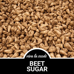 May include: A close-up image of a pile of brown beet roots. The roots are covered in dirt and have a rough texture. The text "viva la seeds" and "BEET SUGAR" is visible at the bottom of the image.