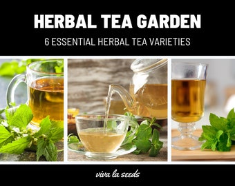 Tea Garden Seed Collection | 6 Essential Tea Herb Seeds | 20% Savings