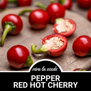 Pepper, Red Hot Cherry | 25 Seeds | Easy to Grow | Heirloom | NonGMO | Capscium annuum