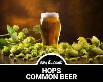 Hops, Common Beer | 20 Seeds | Heirloom | Beer Brewing | Climbing Vine | Humulus lupulus