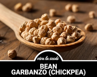 Bean, Garbanzo | Chickpeas | 15 Seeds | Heirloom Vegetable | Open Pollinated | Non-GMO | Cicer arietinum