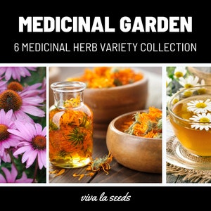 Medicinal Herb Seed Collection | 6 Essential Medicinal Herbs | 20% Savings