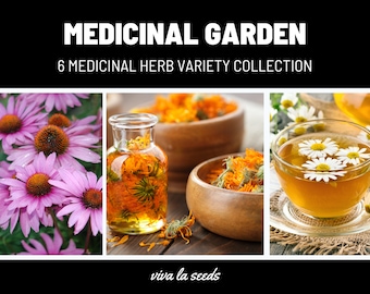 May include: A collection of six medicinal herbs, including echinacea, calendula, and chamomile. The image shows the herbs in their natural state, as well as in a bottle of oil and a cup of tea. The text "MEDICINAL GARDEN 6 MEDICINAL HERB VARIETY COLLECTION" is displayed at the top of the image.