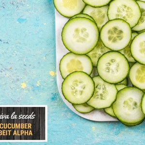 May include: A white plate with thinly sliced green cucumbers. The plate is on a blue background with yellow speckles. The text "viva la seeds CUCUMBER BEIT ALPHA" is on a black and brown wooden background.
