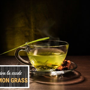 May include: A clear glass teacup filled with steaming yellow-green tea, with a sprig of lemongrass and cinnamon sticks on a saucer. The text "viva la seeds LEMON GRASS" is in a white box on a dark wood background.