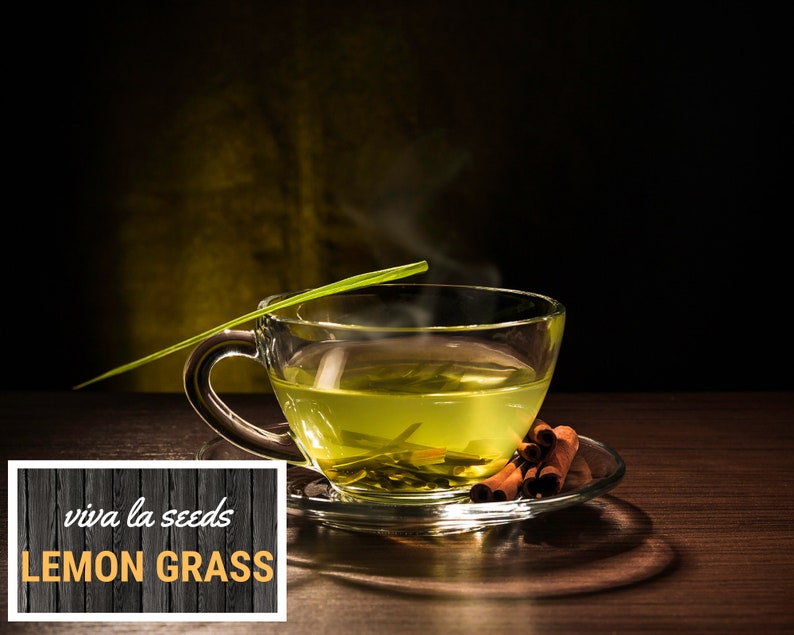 May include: A clear glass teacup filled with steaming yellow-green tea, with a sprig of lemongrass and cinnamon sticks on a saucer. The text "viva la seeds LEMON GRASS" is in a white box on a dark wood background.