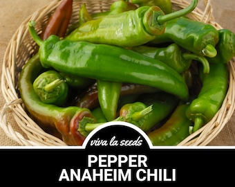 Pepper, Anaheim Chili | 25 Seeds | Easy to Grow | Heirloom | NonGMO | Capscium annuum