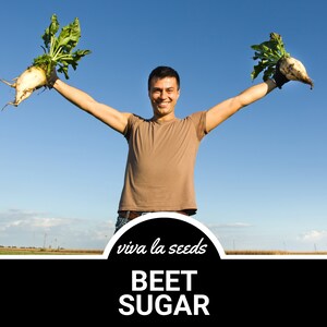 May include: A man holds up two large white beets with green tops, smiling and looking at the camera. The text "viva la seeds" and "BEET SUGAR" is below him.