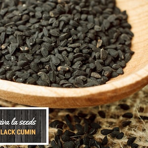 May include: A wooden spoon filled with black cumin seeds. The spoon is sitting on a burlap surface. The text "viva la seeds BLACK CUMIN" is on a wooden sign.
