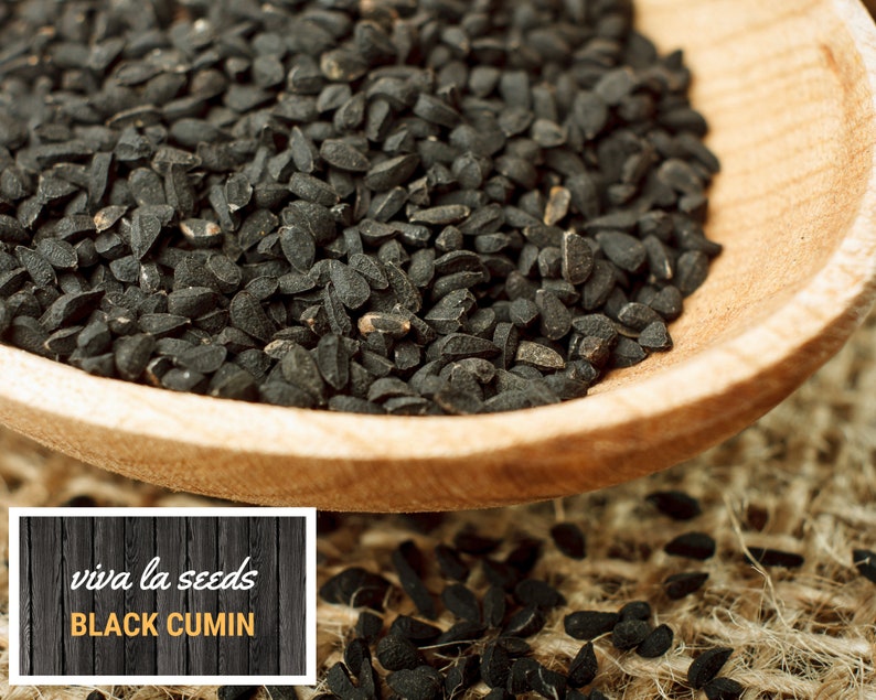 May include: A wooden spoon filled with black cumin seeds. The spoon is sitting on a burlap surface. The text "viva la seeds BLACK CUMIN" is on a wooden sign.