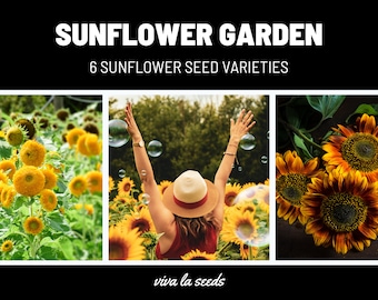 Sunflower Garden Seed Collection | 6 Incredible Varieties for To Fill Your Garden with Joy | Garden Gift