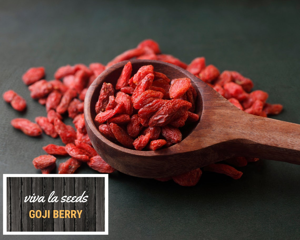 Goji Berry ( Wolfberry) | 50 Seeds | Medicinal | Culinary | Heirloom ...