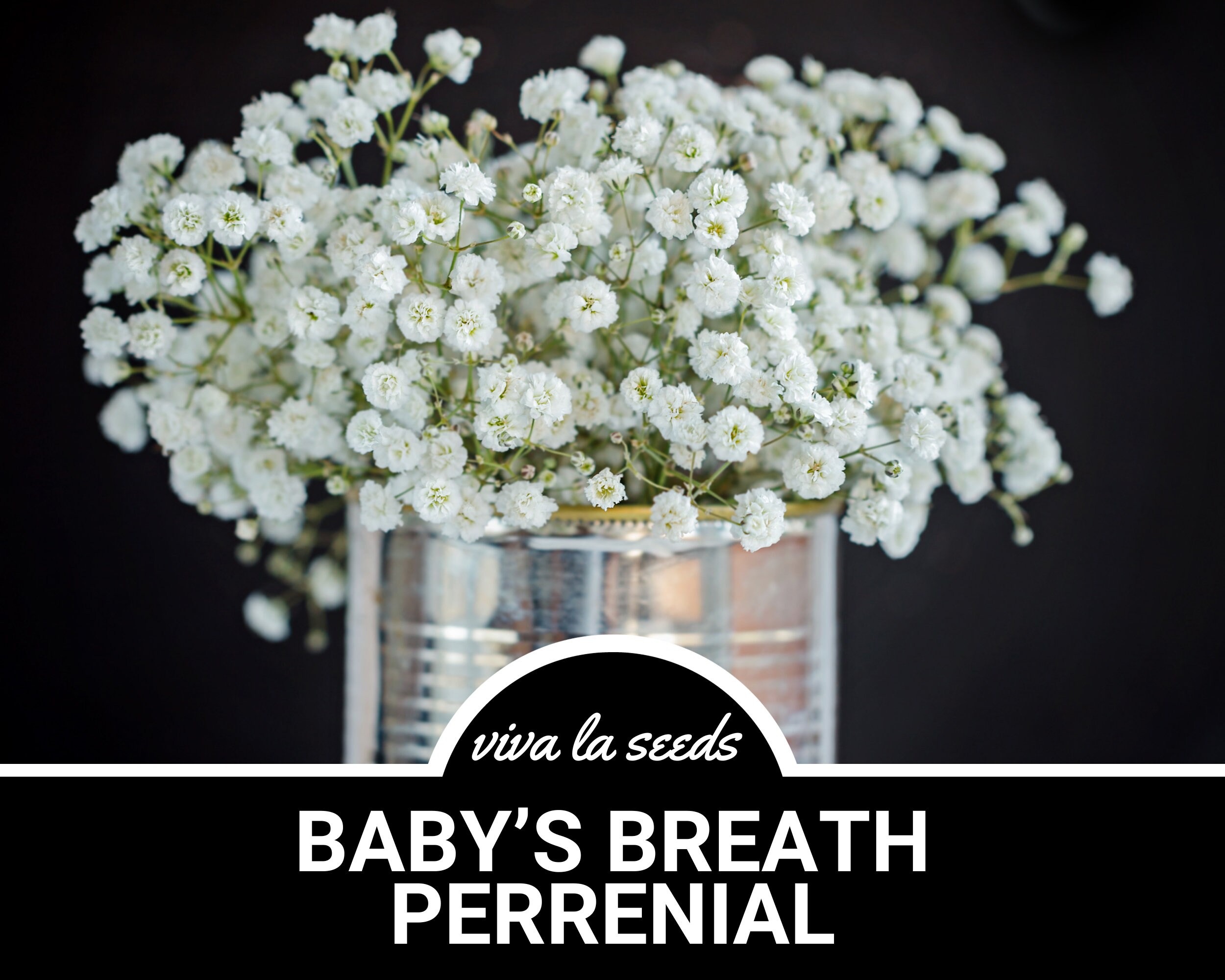 Baby's Breath Bundle, Artificial Baby's Breath, Faux White