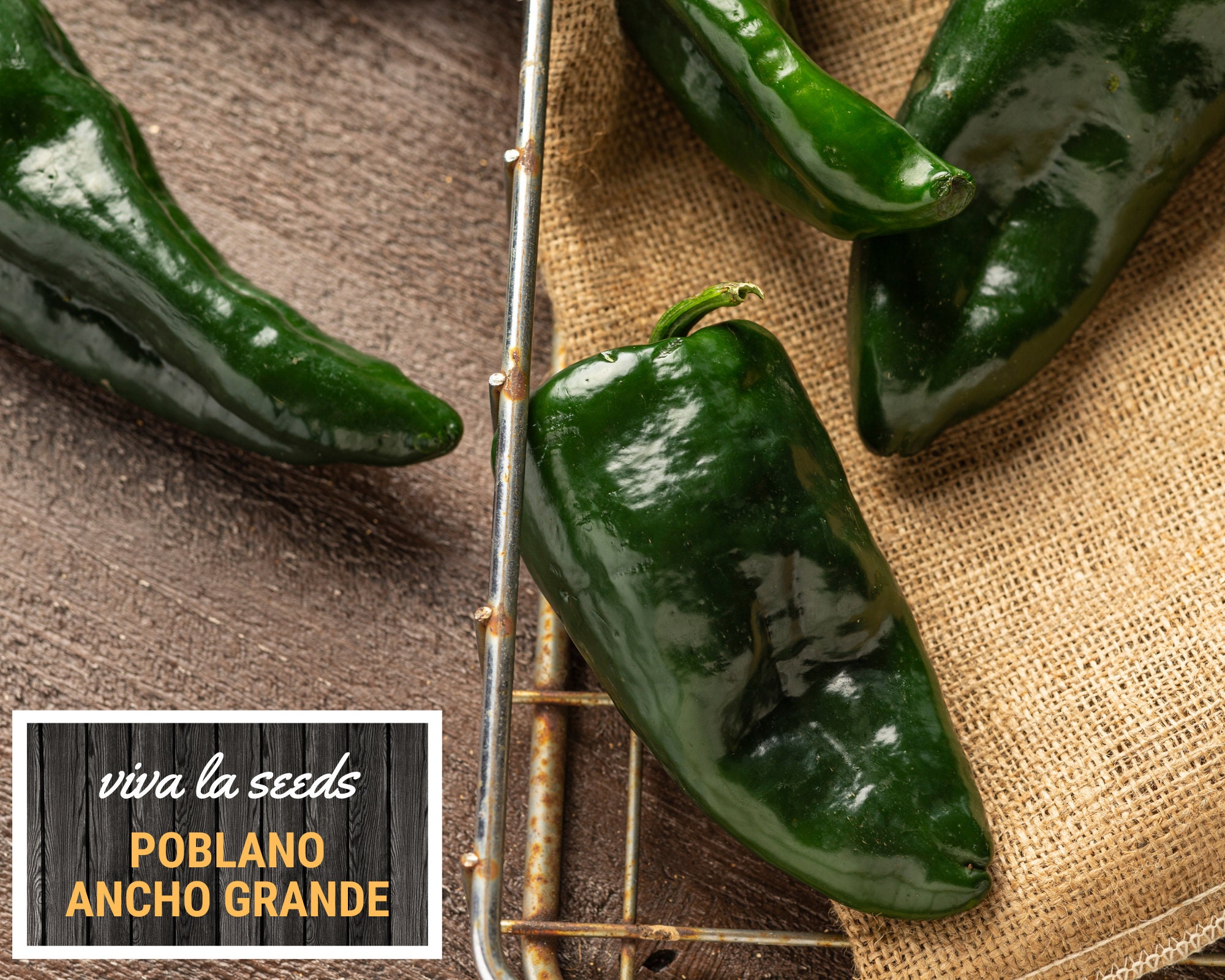 Chile Poblano y ancho - picor, cultivo y cuidado de las Chile Poblano y ancho - picor, cultivo y cuidado de las