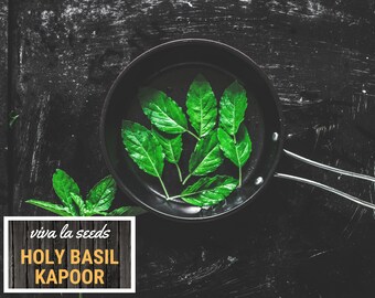 Organic Tulsi Basil Seeds - Holy Basil - San Diego Seed Company