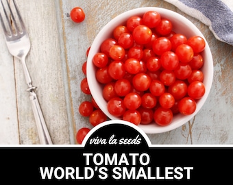 Tomato, World's Smallest | Tomberry | 25 Seeds | Heirloom | Non-GMO | Solanum lycopersicum