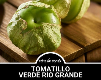 Tomatillo, Verde Rio Grande | 50 Seeds | Heirloom | Non-GMO | Physalis ixocarpa