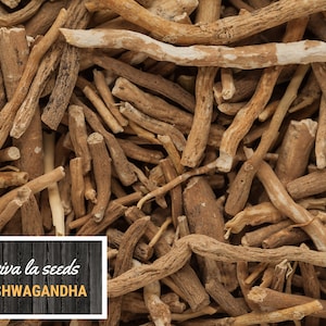 K&ouml;nnte beinhalten: Nahaufnahme von getrockneten braunen und beigefarbenen Ashwagandha-Wurzelst&uuml;cken. Das Bild enth&auml;lt den Text "viva la seeds ASHWAGANDHA".