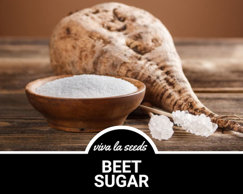 May include: A close-up of a beet root, a bowl of white beet sugar, and two sugar crystals on sticks. The text "viva la seeds" and "BEET SUGAR" is displayed on a black background.