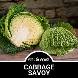 Cabbage, Savoy | 100 Seeds | Heirloom Vegetable | Open Pollinated | Non-GMO | Brassica rapa