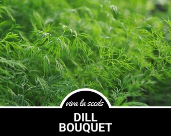 May include: A close-up of a lush green dill plant with the text "viva la seeds" and "DILL BOUQUET" in a black banner.