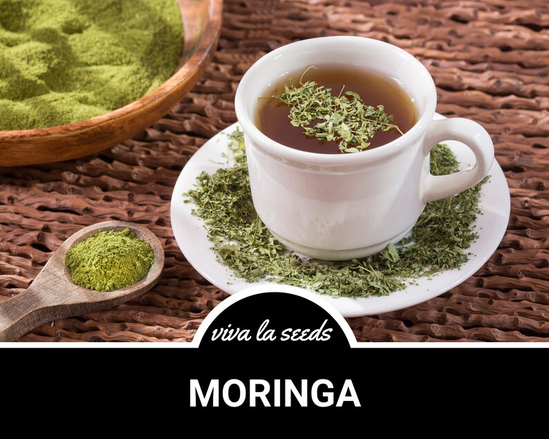 May include: A white cup of moringa tea with green moringa leaves floating in the tea. The cup is on a white saucer with green moringa leaves scattered around it. The text "viva la seeds" and "MORINGA" are visible below the image.